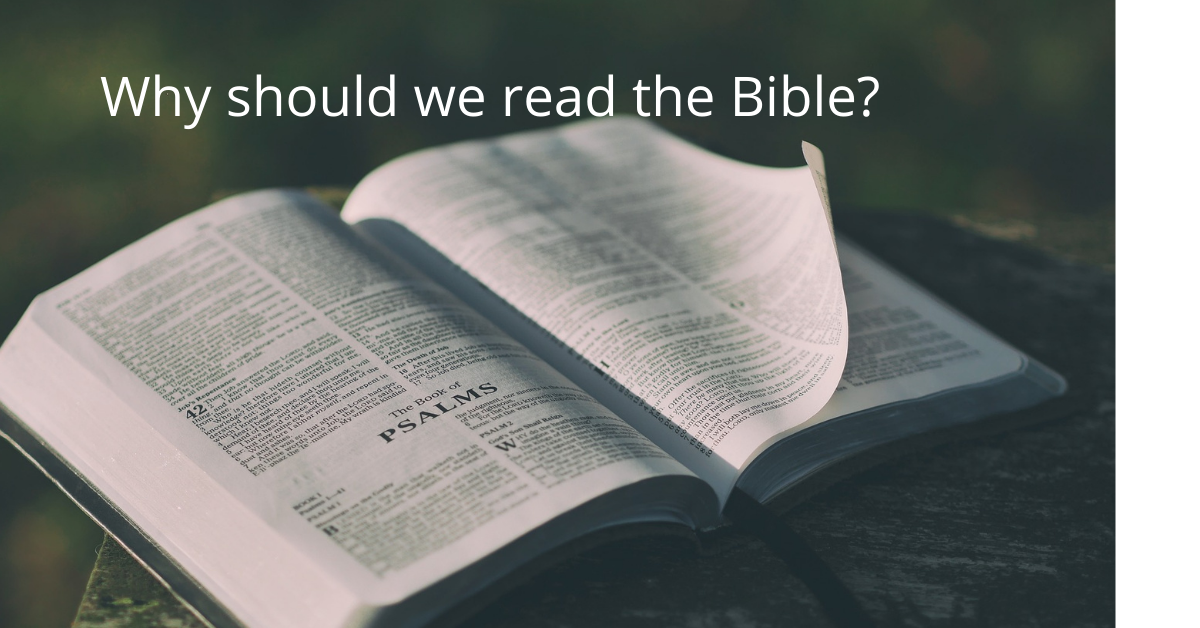 Why should we read the bible?