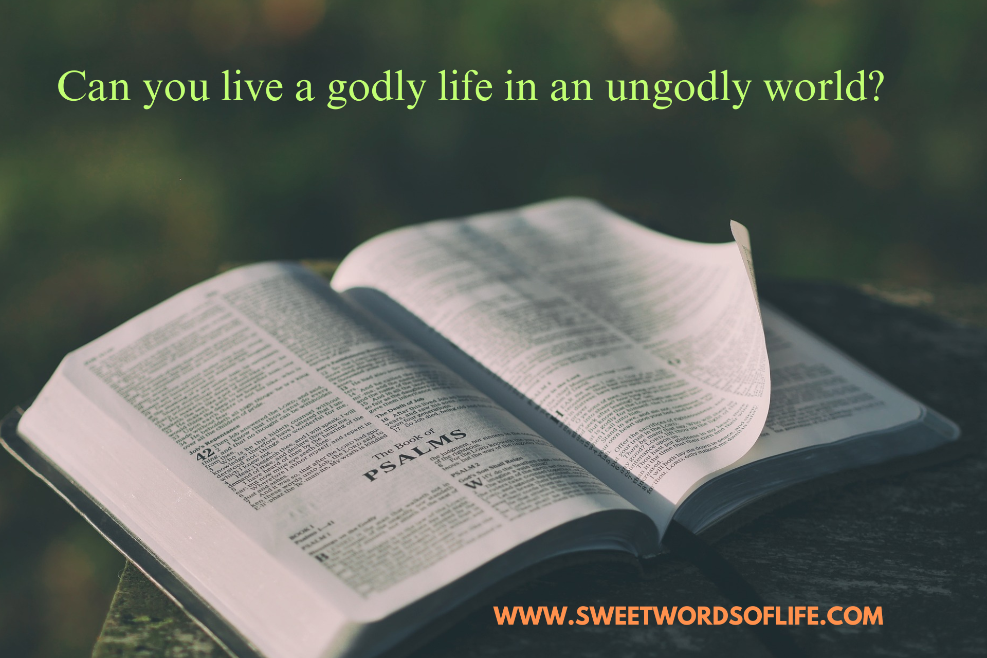 Can you live a godly life in an ungodly world?